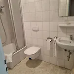 Schwung Hotel 3*